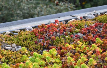 the cost of Dirleton green roof installation