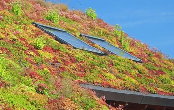 Dirleton living roof systems