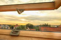 rated Dirleton roof window companies