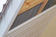 rated Dirleton soffit repair companies
